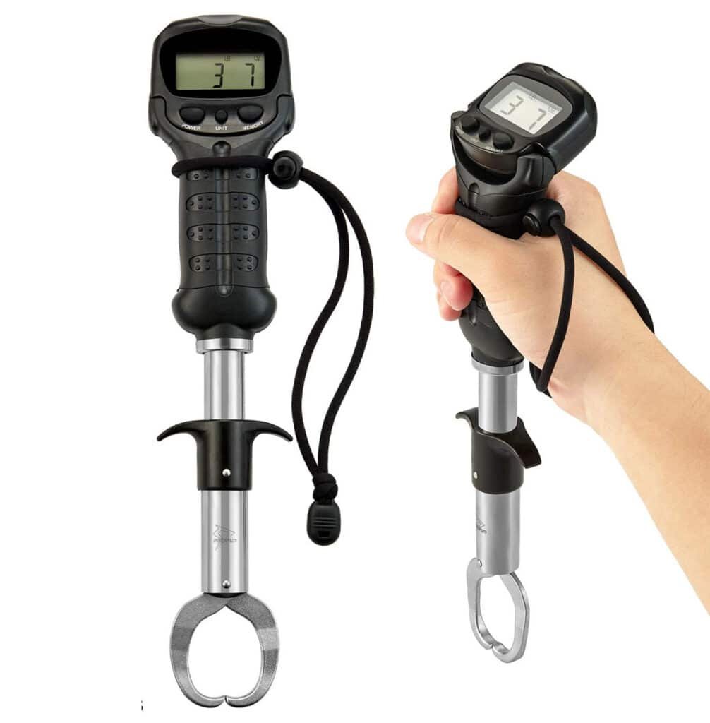 Best Digital Fish Scale to Weigh The Big Catch| Buying Guide