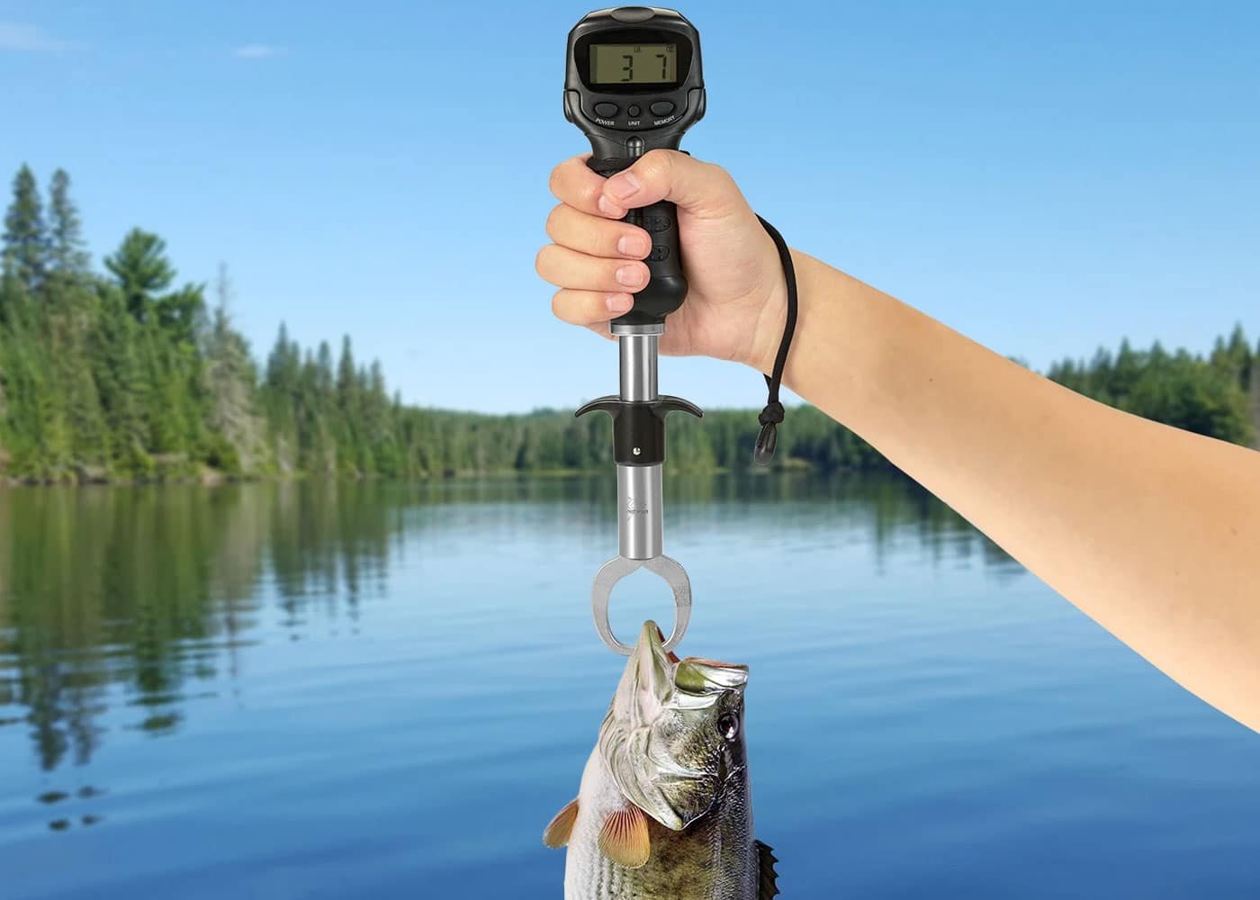 Best Digital Fish Scale to Weigh The Big Catch| Buying Guide