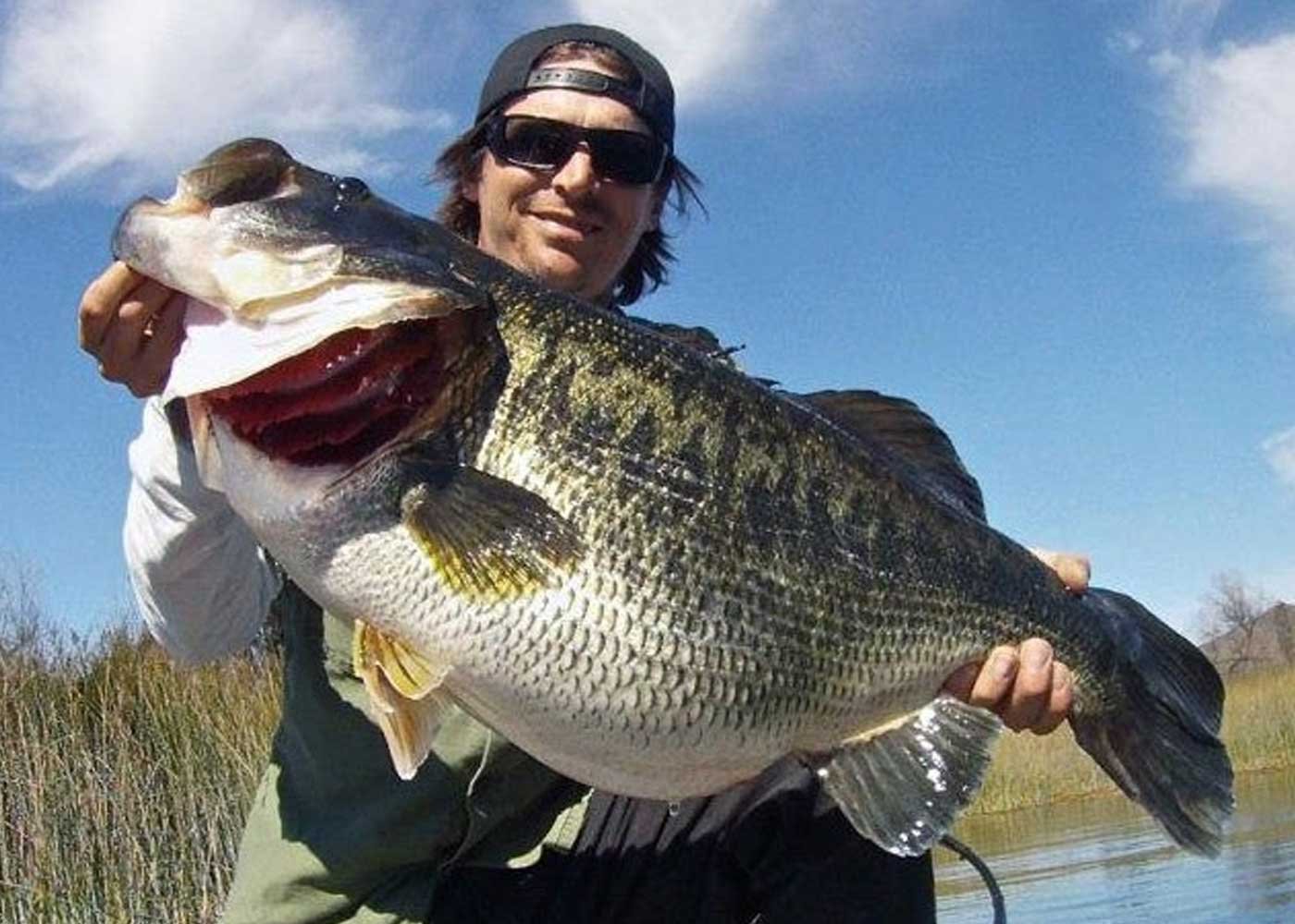 expert-tips-for-catching-the-biggest-bass